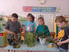 День «Комнатных растений" День «Комнатных растений".