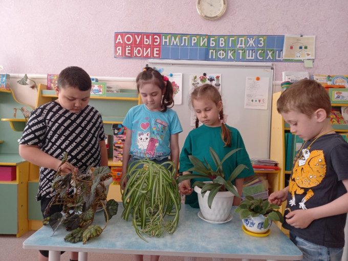 День «Комнатных растений" День «Комнатных растений".